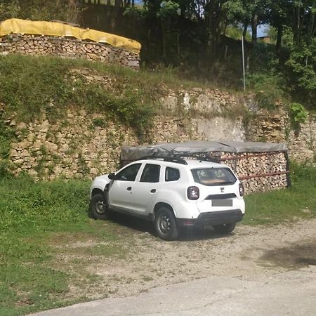 Gartzinea, Amplia Y Preciosa Vivienda Rural Daire Ezkurra Dış mekan fotoğraf
