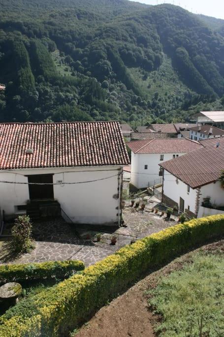 Gartzinea, Amplia Y Preciosa Vivienda Rural Daire Ezkurra Dış mekan fotoğraf