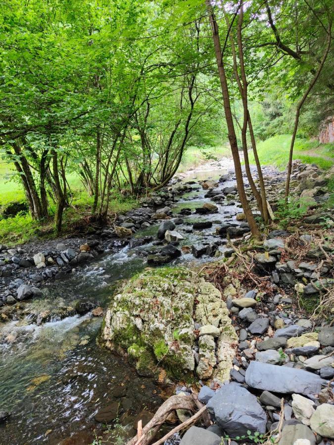 Gartzinea, Amplia Y Preciosa Vivienda Rural Daire Ezkurra Dış mekan fotoğraf